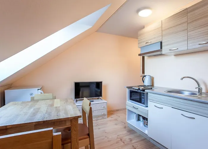 Paernu Villa Harmony Guest house 3*